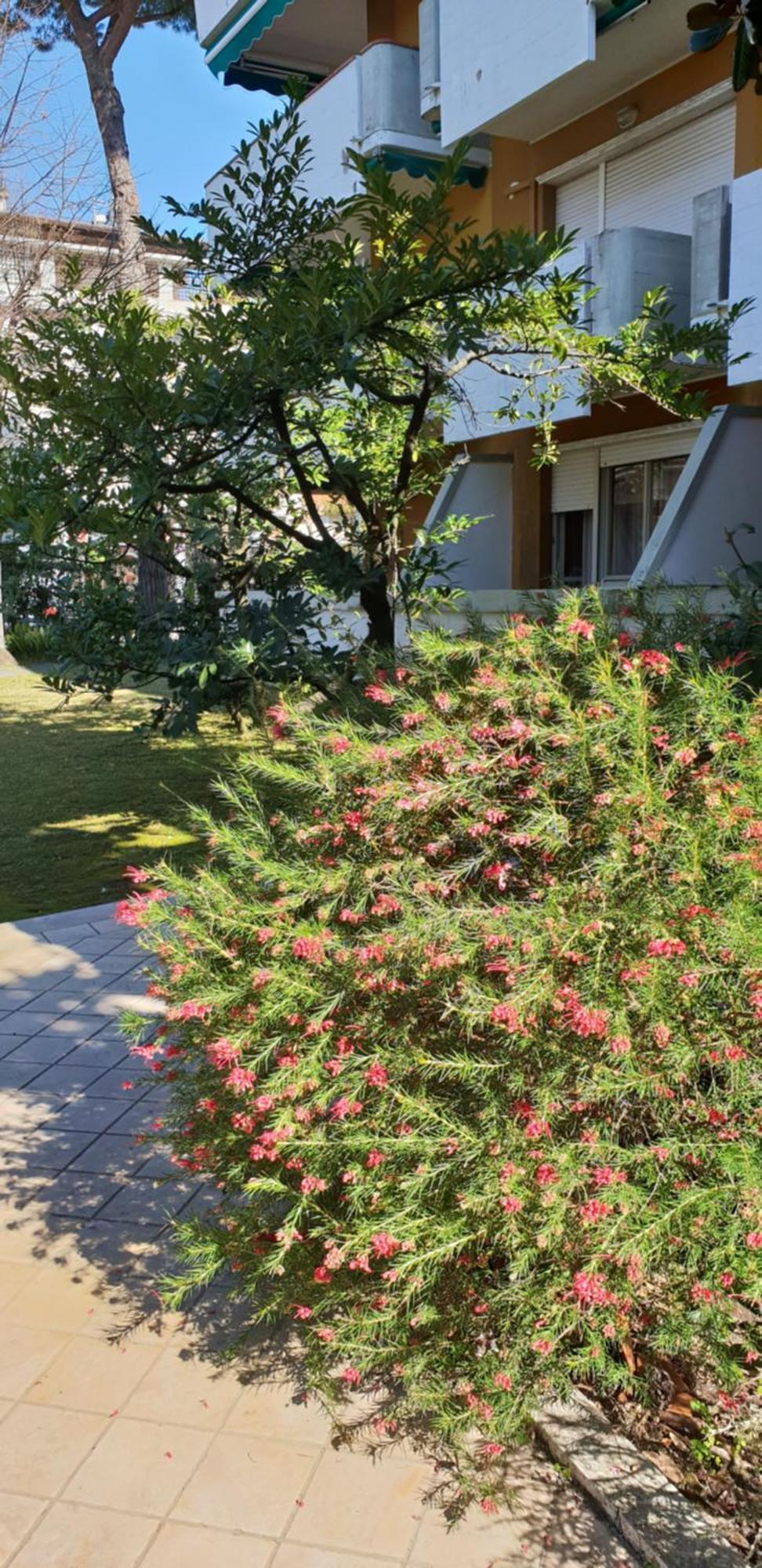 Versilia Apartment Forte dei Marmi Buitenkant foto